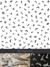 Load image into Gallery viewer, Eeleganza Women's Classic Long-Sleeve Button-Up Shirt