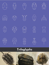 Load image into Gallery viewer, Triloglyph Women's Classic Long-Sleeve Button-Up Shirt