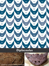 Load image into Gallery viewer, Diplocaulus Women's Classic Long Sleeve Button-Up Shirt