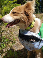 Load image into Gallery viewer, Kansas Cretaceous Paisley Fanny Pack