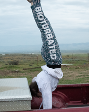 Load image into Gallery viewer, Priapulid Paisley Joggers