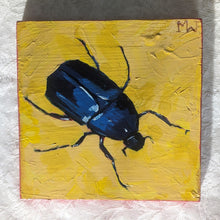 Load image into Gallery viewer, Original Painting - Darkling Beetle - 7&quot;x7&quot;
