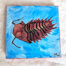 Load image into Gallery viewer, Original Painting - Acanthopyge - 5.5&quot;x5.5&quot;
